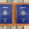 Tan Kangaroo Leather Dual Passport Wallet passport